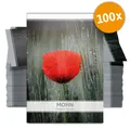 FLORTUS W5222-100x Mohn  für Werbezwecke (100 Tütchen) (Mohnsamen)