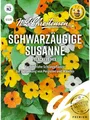 Schwarzäugige Susanne Blackeye Mix