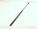 TRISCAN Gasfeder Hinten für Citroén Ax 8710 38204
