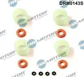 Dr.Motor Automotive Dichtungssatz, Einspritzdüse DRM0143S für CITROËN FORD