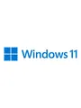 Microsoft Windows 11 Home - Flash drive - Polish