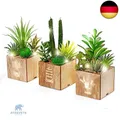 BEGONDIS Set von 3 künstlichen Sukkulenten mit Led-Leuchten in Holzkiste,