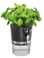 GEFU Kräuterschere Set: Kräutertopf BOTANICO + Kräuterschere BOTANICO