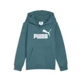 PUMA Jungen ESS No. 1 Logo Fleece-Hoodie 116, Emerald Ice Green