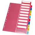 herlitz Register für A4, Index 1-10, 21 x 29,7 cm, Kunststoff, bunt mit Indexblatt und Eurolochung