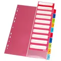Herlitz 10913929 10er Pack Register 1-10, 22,3 x 29,7 cm, PP, farbig mit IndexBlatt und Eurolochung