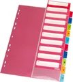 Herlitz Aktenordner Register A4 1-10 Kunststoff PP mehrfarbig mit Indextasche