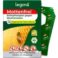 Schlupfwespen gegen Wachsmotten