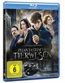 Phantastische Tierwesen und wo sie zu finden sind - DVD / Blu-ray / 3D /4k UHD
