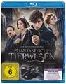 Phantastische Tierwesen und wo sie zu finden sind ( Blu-ray )