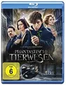 Phantastische Tierwesen und wo sie zu finden sind ... | DVD | Zustand akzeptabel