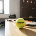 HEAD Radical Professioneller Tennisball ITF Zugelassen 12 Tennisbälle 3 Pack