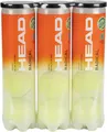 HEAD Radical Professioneller Tennisball ITF Zugelassen 12 Tennisbälle 3 Pack