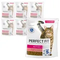 Perfect Fit Active 1+ mit Rind 6x750g Trockenfutter für aktive erwachsene Katzen