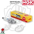 KERZE SPARK PLUG NGK BR8HS MALAGUTI Ciak Mono 50 2003