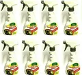 8x Dr. Stähler 500 ml Marderfrei Spray gegen Marder Fernhaltespray Abwehr