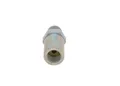 Druckbegrenzungsventil, Common-Rail-System Bosch 1110010030