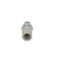 1 110 010 030 BOSCH Druckbegrenzungsventil, Common-Rail-System