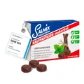 SALMIX Halspastillen | wohltuend bei trockenem, gereiztem Hals & Rachen | 24 Pastillen zum Lutschen