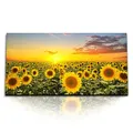 Paul Sinus Kunstdruck Bilder 120x60cm Sonnenblumenfeld Sonnenblumen Gelb Sonnenuntergang