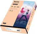 inapa farbiges Druckerpapier buntes Papier tecno Colors 80g A4 500 Blatt Lachs