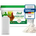 Kieselgur für Hühner 1kg INKLUSIVE Stäubeflasche  Reines Kieselgur Hühner Pul...