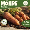 Little Plants BIO Möhren Samen 800 Möhrensamen Nantaise Gemüsesamen Karottensamen für Gemüsegarten Samenfest Gemüse Samen für Küche, Balkon und Garten