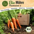 Möhren Samen (BIO) - 800 Samen Gemüsesamen Möhrensamen Nantaise Karottensamen