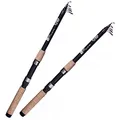 Zite Fishing Angelruten Set | 2 Stück Teleskop-Rute 2,70m 30-80g | Spinnrute mit Fiberglas-Blank | Allround-Rute mit Komfort-Korkgriff | Auch für Kids & Anfänger