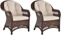 Set/2 Bequemer Breiter Wintergarten Rattan Sessel EWA Lesesessel (Braun, Muster)