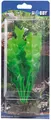 Hobby Aquaristik Echinodrus I 20 cm I Naturgetreue künstliche Aquarienpflanze I Keine Beeinflussung der Wasserqualität I Pflegeleicht