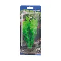 Hobby Echinodrus, 20 cm - Kunststoffpflanzen Wasserpflanzen Aquariumpflanzen