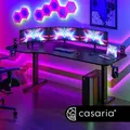 Casaria Elektrischer Schreibtisch 160x75x73-118cm schwarz
