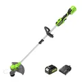 Greenworks 24V Akku Rasentrimmer für kleine bis mittelgroße Gärten, 30 cm Schnittbreite, automatischer Vorschub 1,65 mm Nylon Faden, 24V 2Ah Akku & Ladegerät, 3 Jahre Garantie G24LT30K2
