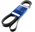 Bosch 1987948484 Keilrippenriemen