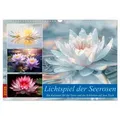 Lichtspiel der Seerosen (Wandkalender 2025 DIN A3 quer) CALVENDO Monatskalender von Steffen Gierok-Latniak / Calvendo / Kalender