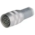 Hirschmann ICON Stecker N 11 R EF gr