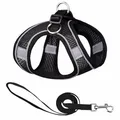Monkimau Atmungsaktives Hundegeschirr mit Leine | Mesh und Nylon | Ideal für kleine Hunde und Katzen | Größe XXS bis L (Schwarz, XS)