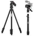Rollei Compact Creator Stativ Kamera, 152cm Reisestativ aus Aluminium Leicht & Platzsparend Fotostativ mit Integrierte Handy-Halterung & Fernauslöser für DSLR & Handy, Kamera-Stativ-Reisestativ-Tripod