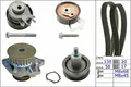 INA Wasserpumpe + Zahnriemensatz mit Wasserpumpe für VW Polo V SKODA Fabia I