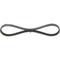 Bosch 1 987 948 302 Keilrippenriemen für FIAT ABARTH ALFA ROMEO LANCIA OPEL