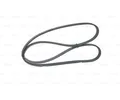 BOSCH V-Ribbed Belts 1 987 948 302