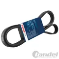 BOSCH KEILRIPPENRIEMEN 4PK668mm für ABARTH 500 500C GRANDE ALFA ROMEO MITO