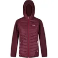 Regatta Hybrid Softshelljacke Damen Andreson VI, Farbe:Ice Blue, Größe:42 - Violett - 42