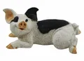 Castagna Tierfigur Dekofigur Schwein Ferkel gefleckt Kollektion Castagna Breite 23 cm