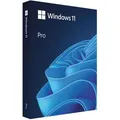 Microsoft Betriebssystem Windows 11 Professional, 64 Bit, DVD, SB/OEM