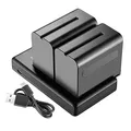 NEEWER 2er-Pack 6600mAh Li-Ionen-Ersatzakku mit USB-Ladegerät, kompatibel mit Sony NP-F970 F960 F950 F770 F750 F570 F550, Handycams und NEEWER LED-Licht, Monitor, motorisiertem Slider