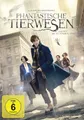 Phantastische Tierwesen und wo sie zu finden sind | DVD 109
