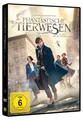 Phantastische Tierwesen und wo sie zu finden sind | DVD | deutsch