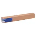 Epson Photo Paper Gloss 250 g 111,8 cm x 30,5 m S 041895 (3050 cm, 111.80 cm) (C13S041895)